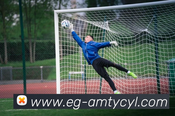 澳门太阳城发展历程